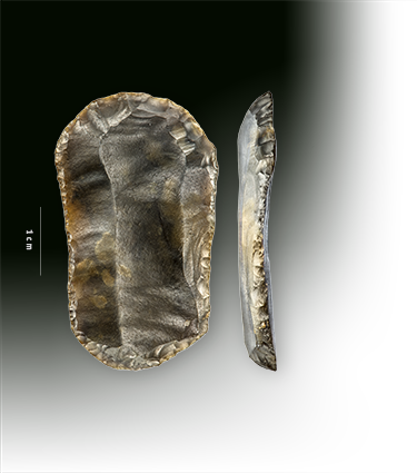 Creswellcultuur (Laat Paleolithicum) - dubbele (kling)schrabber gevonden in gemeente Westerveld (Dr.) - vinder: Ronald Popken

Foto's: ToonBeeld / Frans de Vries